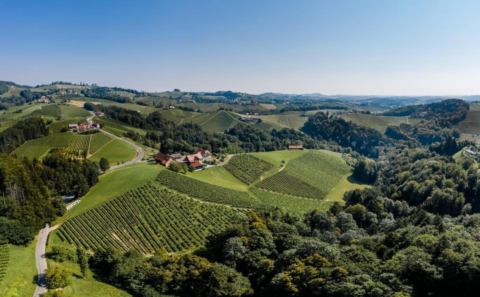 לינה וארוחת בוקר ליוצכאך Weingut Juritsch מראה חיצוני תמונה